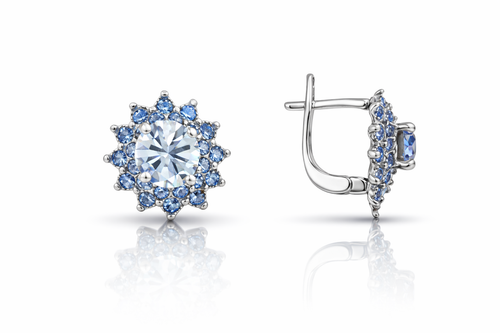 Blue snowflakes Earrings