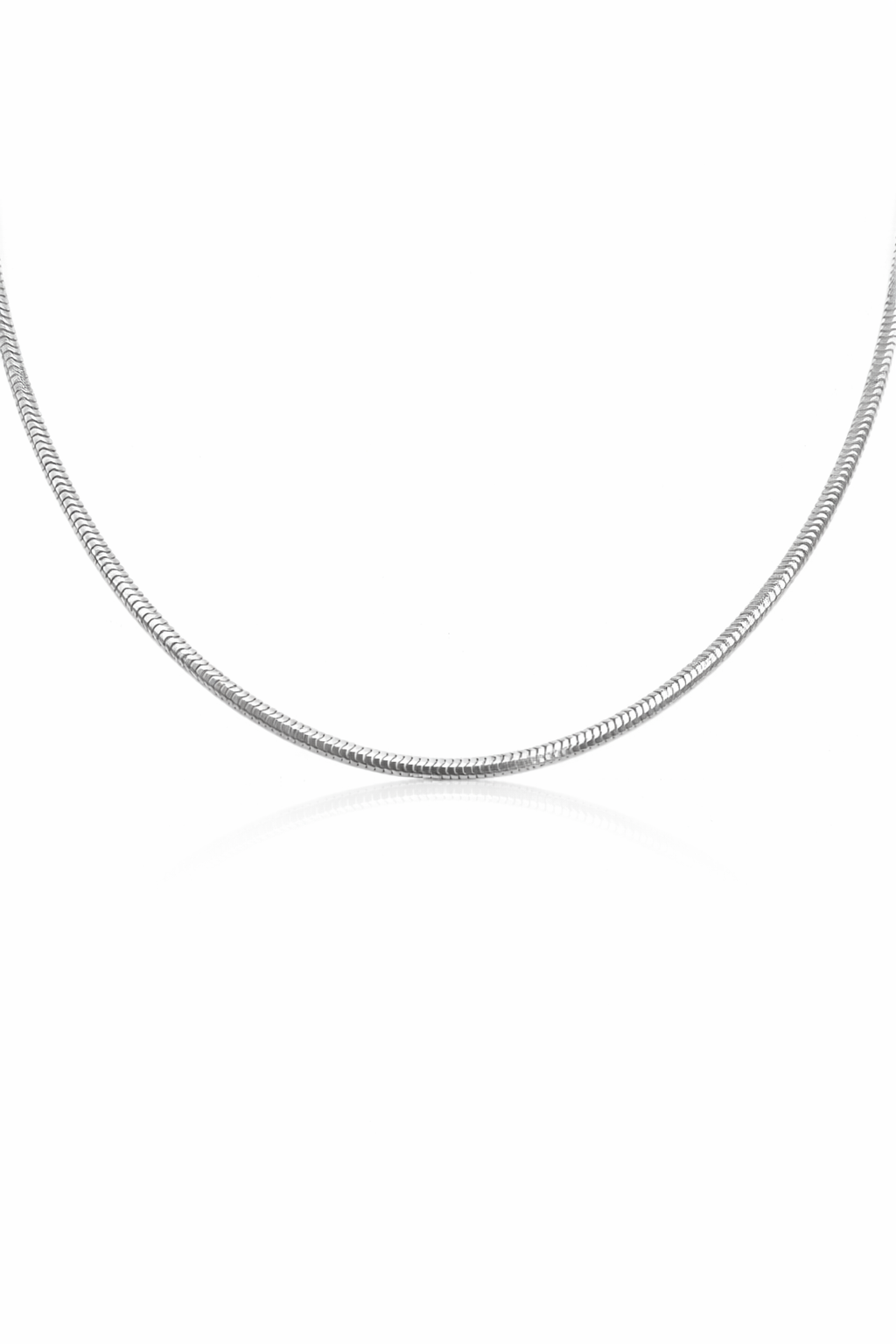 Sleek Snake Chain Necklace
